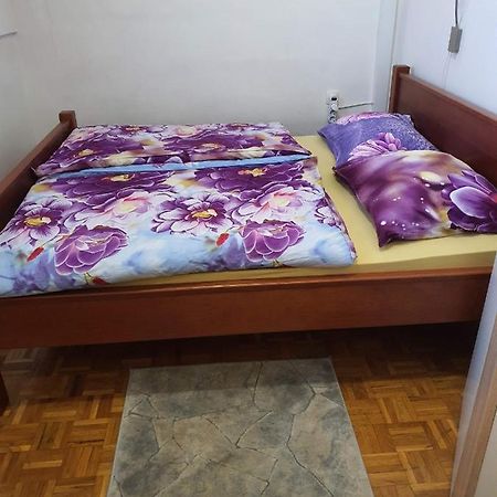 Terme Catez Apartma Nine Catez ob Savi Ngoại thất bức ảnh