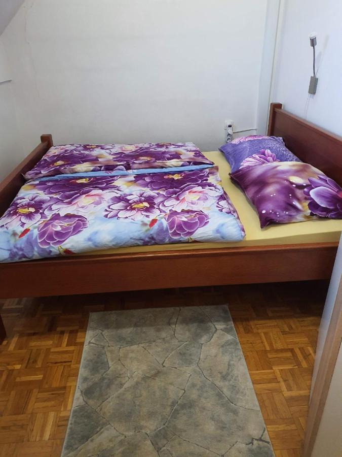 Terme Catez Apartma Nine Catez ob Savi Ngoại thất bức ảnh